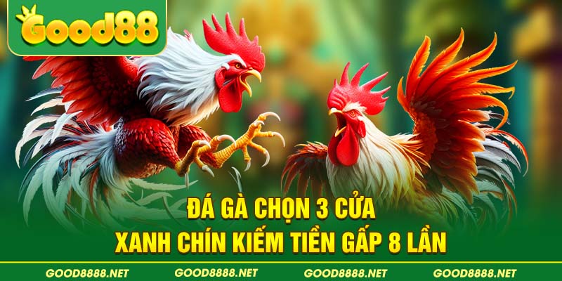 Đá gà chọn 3 cửa xanh chín kiếm tiền gấp 8 lần